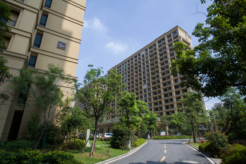 鬼谷子神算正版资料