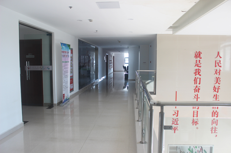 鬼谷子神算正版资料