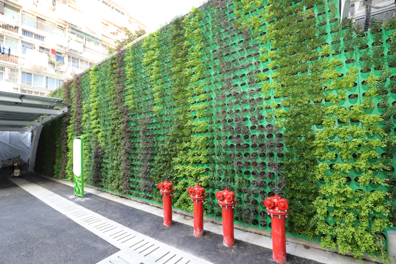 鬼谷子神算正版资料