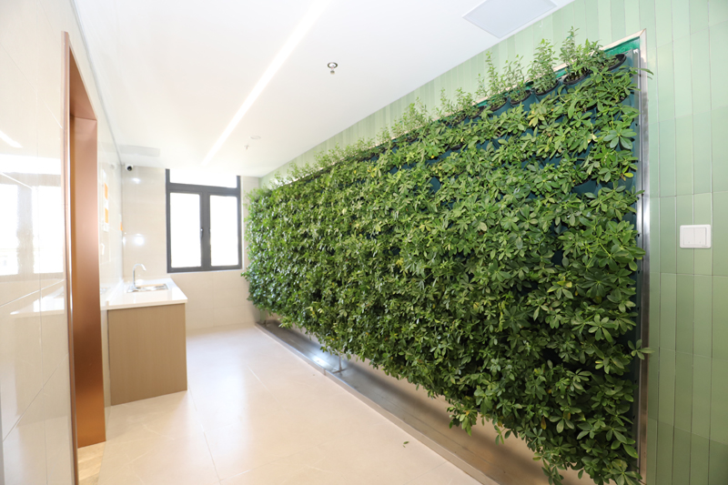 鬼谷子神算正版资料