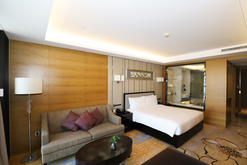 鬼谷子神算正版资料