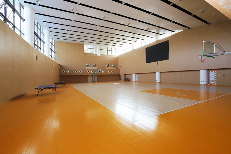 鬼谷子神算正版资料